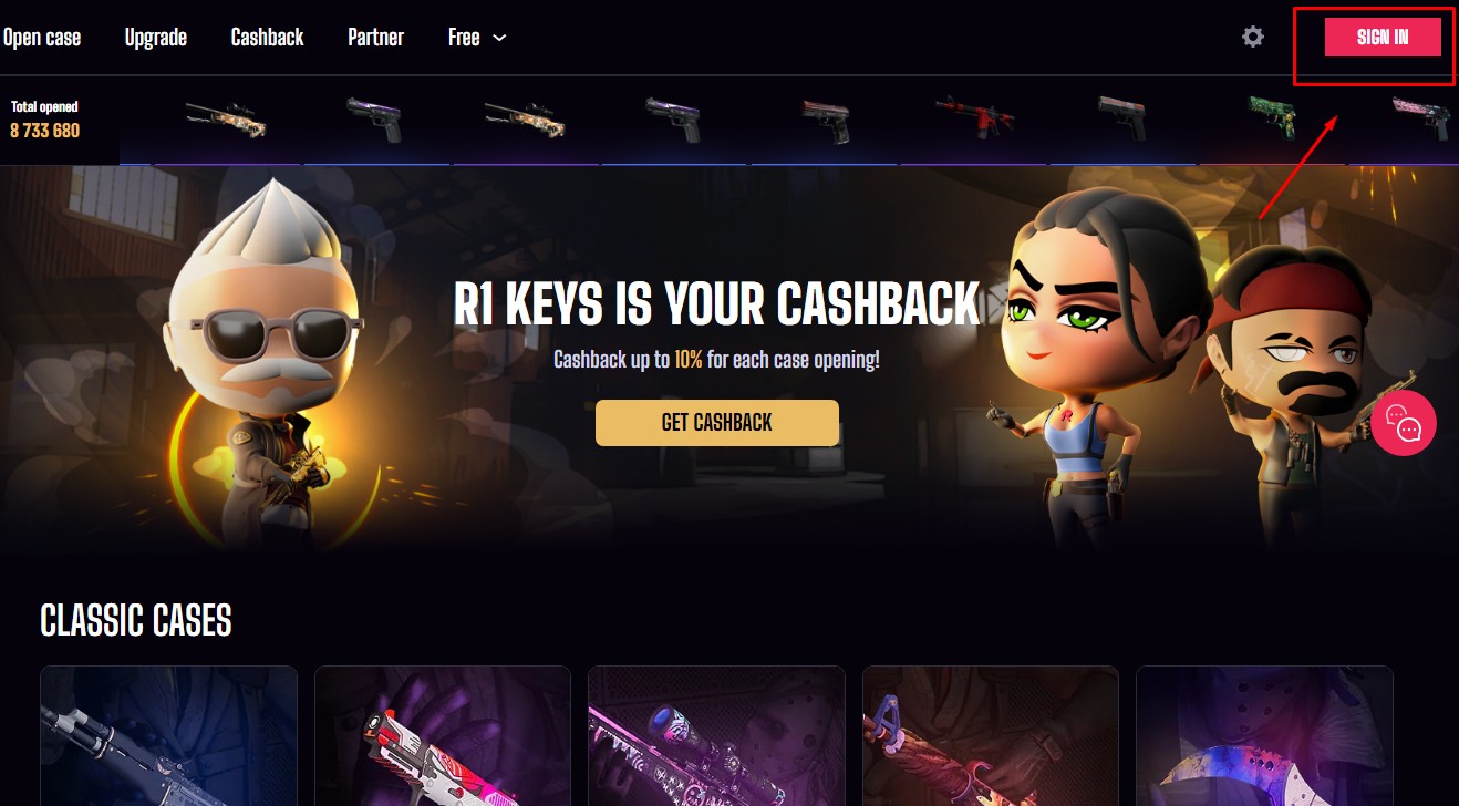 R1-skins website