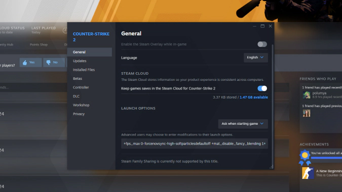 CS2 launch options