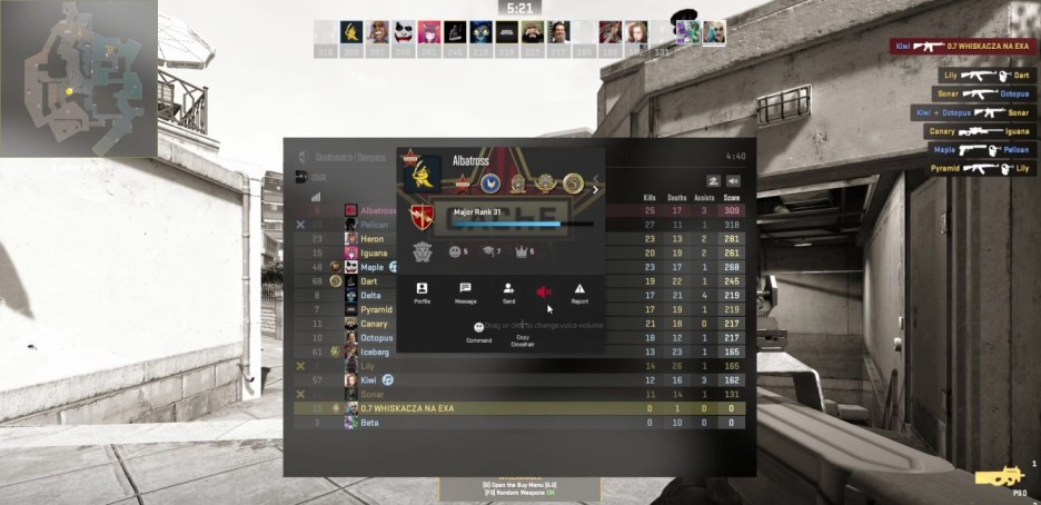 CS2 Voice Chat Mute or Disable
